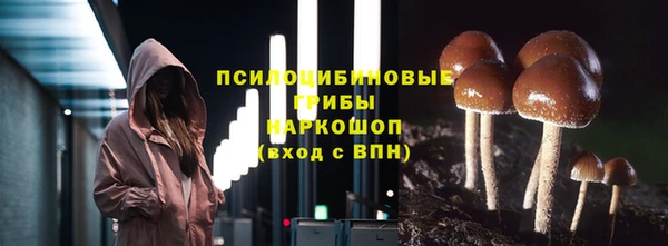 ПСИЛОЦИБИНОВЫЕ ГРИБЫ Алексин