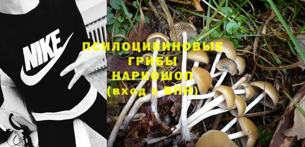 ПСИЛОЦИБИНОВЫЕ ГРИБЫ Алексин