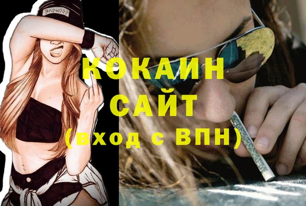 ПСИЛОЦИБИНОВЫЕ ГРИБЫ Алексин