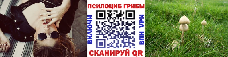 наркошоп Покачи Псилоцибиновые грибы Cubensis